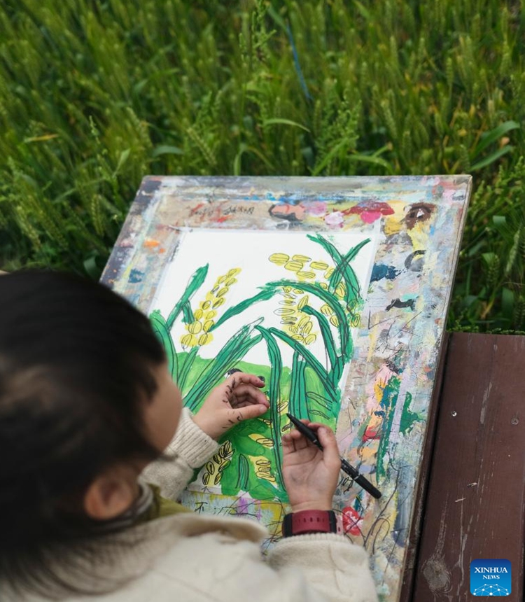 A child draws a picture in the fields at Yuxin Town of Nanhu District in Jiaxing City, east China's Zhejiang Province, April 27, 2024. As a demonstration zone for harmonious and beautiful village, the Nanhu District has developed industries including study tour, village-level exhibition, and outdoor activity with joint efforts of local authorities, enterprises, collectives, and farmers to increase incomes and boost rural revitalization. (Xinhua/Jigme Dorje)