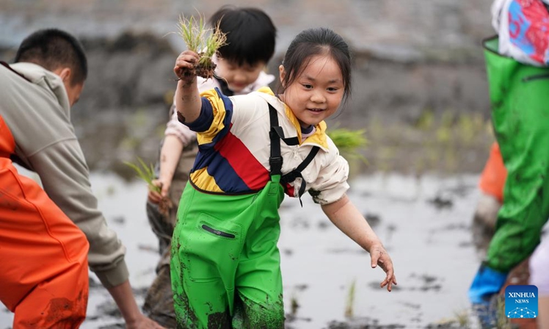 Young tourists learn to plant paddy rice at a field in Jinci Township in Taiyuan, capital of north China's Shanxi Province, May 4, 2024. Traffics have surged at tourist attractions throughout the country during the 5-day May Day holiday beginning on May 1. Photo: Xinhua