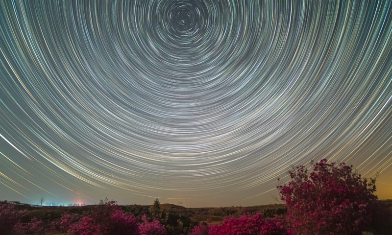 This stacked photo taken on May 1, 2024 shows the starry sky above rhododendrons in Ning'an City of Mudanjiang, northeast China's Heilongjiang Province. Photo: Xinhua