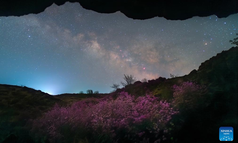 This stacked photo taken on May 1, 2024 shows the starry sky above rhododendrons in Ning'an City of Mudanjiang, northeast China's Heilongjiang Province. Photo: Xinhua