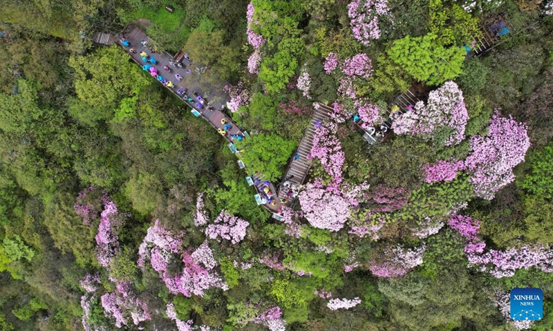 This aerial drone photo taken on May 4, 2024 shows a view of Mount Fanjing in Tongren City, southwest China's Guizhou Province. Traffics have surged at tourist attractions throughout the country during the 5-day May Day holiday beginning on May 1. Photo: Xinhua