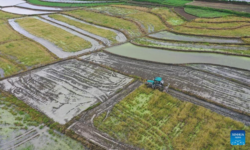 A drone photo taken on May 4, 2024 shows a farmer working in a field in Longshan County, Xiangxi Tujia and Miao Autonomous Prefecture, central China's Hunan Province. Chinese farmers are busy with field works with the approaching of Lixia, the seventh solar term on the Chinese lunar calendar that marks the beginning of summer. Photo: Xinhua