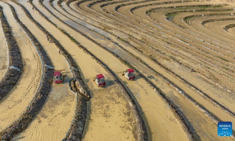 A drone photo taken on May 4, 2024 shows farmers levelling fields for rice transplanting in Wenshan City, Wenshan Zhuang and Miao Autonomous Prefecture, southwest China's Yunnan Province. Chinese farmers are busy with field works with the approaching of Lixia, the seventh solar term on the Chinese lunar calendar that marks the beginning of summer. Photo: Xinhua