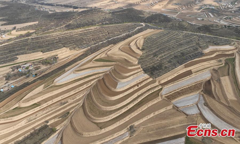 Spectacular scenery of terraced fields on the loess plateau in Pengyang, northwest China's Ningxia Hui Autonomous Region, May 5, 2024. Terrace system has turned the long-deemed uninhabitable area into arable land in Ningxia. Photo: China News Service


