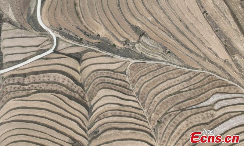 Spectacular scenery of terraced fields on the loess plateau in Pengyang, northwest China's Ningxia Hui Autonomous Region, May 5, 2024. Photo: China News Service


