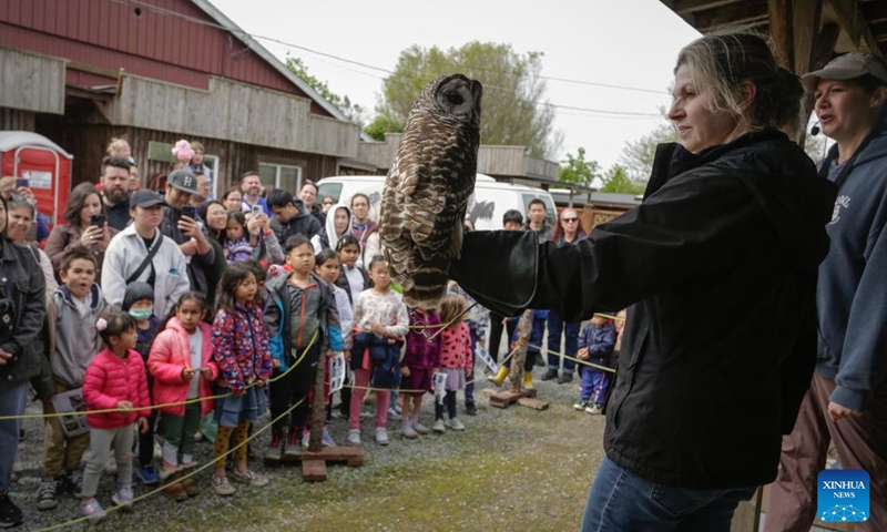 A staff member introduces an owl to the visitors during an open house event at the Orphaned Wildlife (OWL) raptor rehabilitation center in Delta, British Columbia, Canada, on May 4, 2024. The two-day open house event held on May 4 and 5 offered opportunities to the general public to visit the facility and learn about the conservation work done for wild birds, thereby increasing public awareness of raptors, their habitat, and the environmental impact on people. Photo: Xinhua