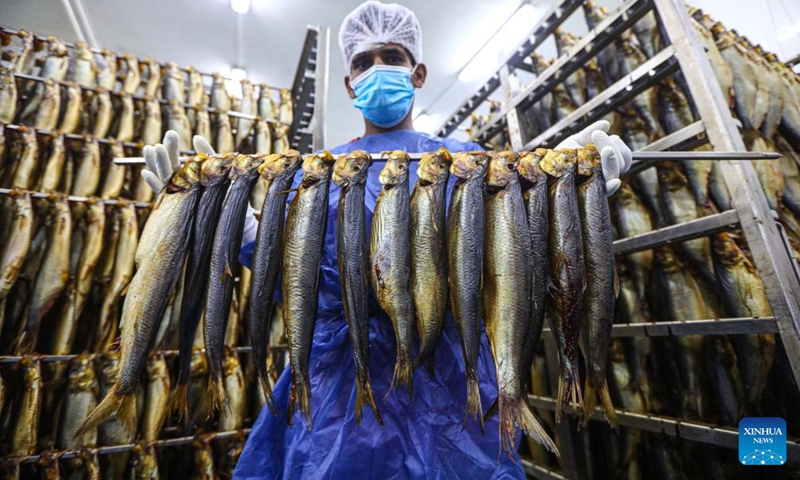 A worker shows smoked fish at a factory in Port Said, Egypt, May 5, 2024. Smoked fish is one of the staple meals by Egyptians during the Sham el-Nessim, a traditional Egyptian festival marking the beginning of spring, which is celebrated on May 6 this year. Photo: Xinhua