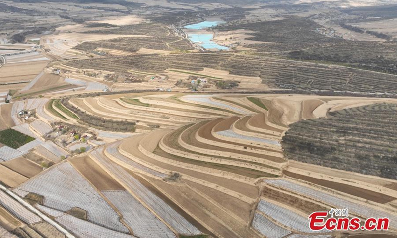 Spectacular scenery of terraced fields on the loess plateau in Pengyang, northwest China's Ningxia Hui Autonomous Region, May 5, 2024. Photo: China News Service


