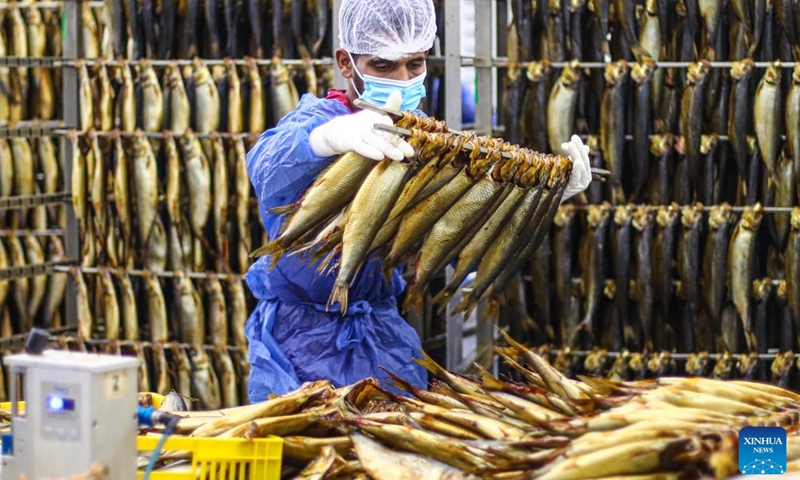 A worker arranges smoked fish at a factory in Port Said, Egypt, May 5, 2024. Smoked fish is one of the staple meals by Egyptians during the Sham el-Nessim, a traditional Egyptian festival marking the beginning of spring, which is celebrated on May 6 this year. Photo: Xinhua