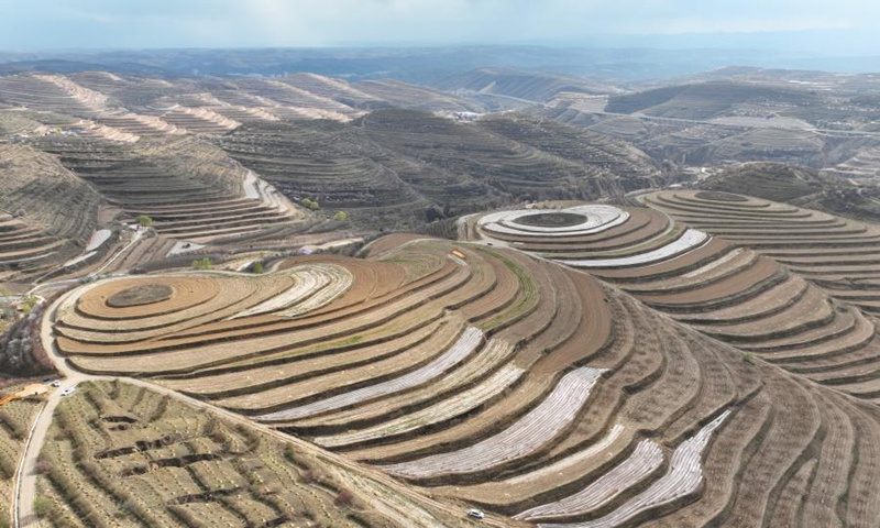 Spectacular scenery of terraced fields on the loess plateau in Pengyang, northwest China's Ningxia Hui Autonomous Region, May 5, 2024. Photo: China News Service


