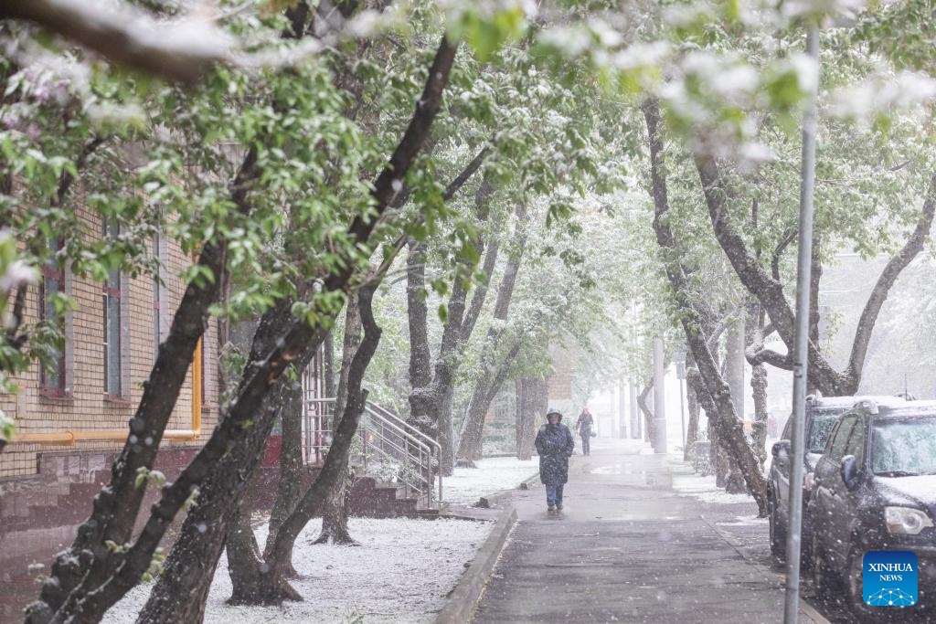 Pedestrians walk in the snow in Moscow, Russia, May 8, 2024.(Photo: Xinhua)