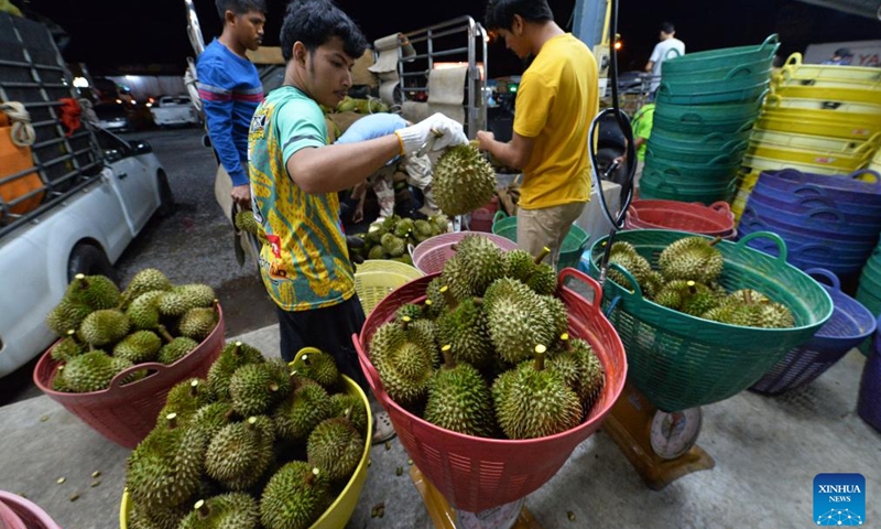 Workers transfer durians at a durian processing factory in Chanthaburi, Thailand, May 7, 2024.(Photo: Xinhua)