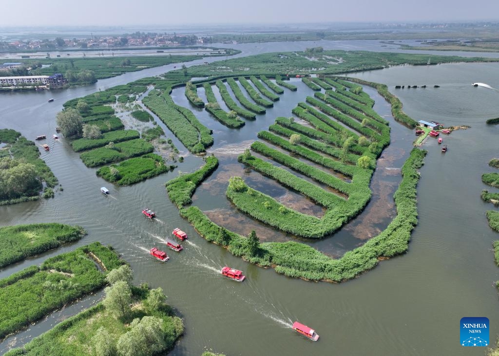 An aerial drone photo taken on May 8, 2024 shows boats cruising on Baiyangdian Lake in Xiong'an New Area, north China's Hebei Province. Baiyangdian, the largest freshwater wetland in northern China, is located in the Xiong'an New Area in Hebei. Since the Xiong'an New Area was established in 2017, the lake's rehabilitation and protection activities have been bolstered. (Photo: Xinhua)