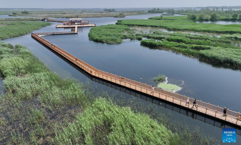 An aerial drone photo taken on May 8, 2024 shows tourists walking on the boardwalk in Baiyangdian Lake in Xiong'an New Area, north China's Hebei Province. Baiyangdian, the largest freshwater wetland in northern China, is located in the Xiong'an New Area in Hebei. Since the Xiong'an New Area was established in 2017, the lake's rehabilitation and protection activities have been bolstered. (Photo: Xinhua)