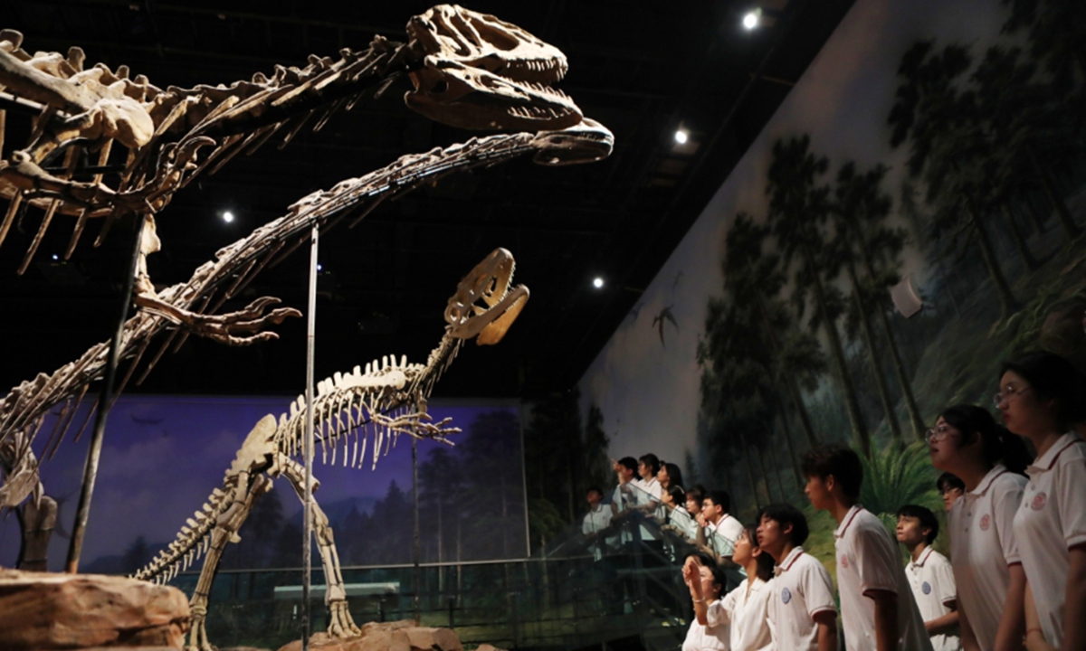Students inspect dinosaur skeletons in a museum on May 14, 2024 in Southwest China's Chongqing Municipality, ahead of International Museum Day, which is celebrated on May 18 every year. Photo: VCG