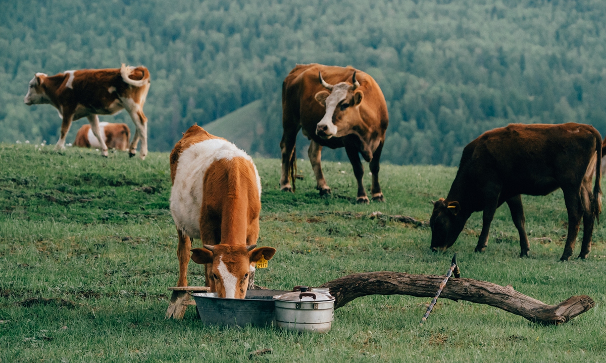 Promotional material for TV series <em>To the Wonder</em> Photo: Courtesy of iQiyi