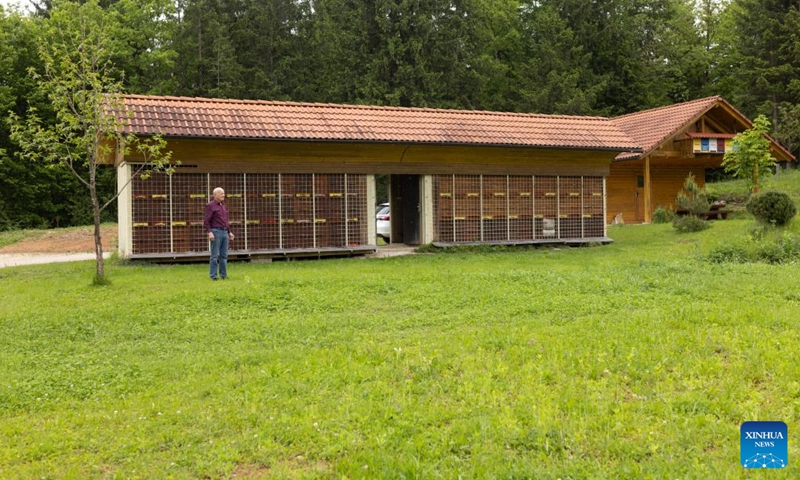 A beekeeper stands in front of his apiary in Ponova Vas Village, southwest of Grosuplje in central Slovenia, May 18, 2024. The World Bee Day, which is observed on May 20 annually, was declared by the UN General Assembly in 2017. Photo: Xinhua