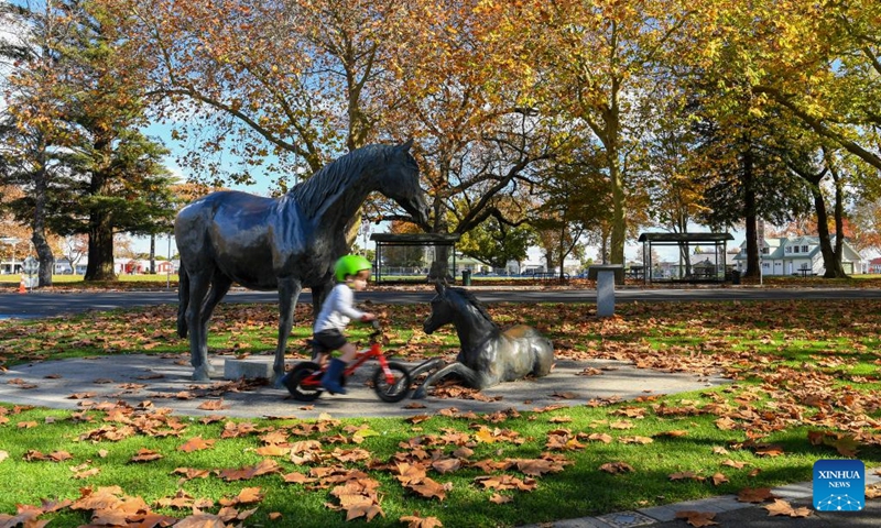 A child riding a bike passes a two-horse statue in Cambridge, New Zealand, May 19, 2024. Cambridge is a town situated around 150 km south of Auckland, on the banks of the Waikato River. It is known as The Town of Trees & Champions. Photo: Xinhua