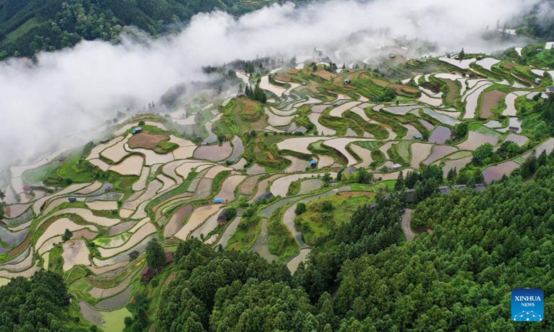 An aerial drone photo taken on May 19, 2024 shows the terrace in Yangdong Village of Liping County, southwest China's Guizhou Province. Photo: Xinhua