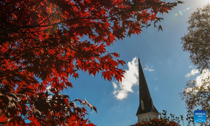 This photo taken on May 19, 2024 shows the scenery in Cambridge, New Zealand. Cambridge is a town situated around 150 km south of Auckland, on the banks of the Waikato River. It is known as The Town of Trees & Champions. Photo: Xinhua