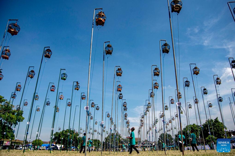 Judges give scores during a turtledove chirping contest in Yogyakarta, Indonesia, May 19, 2024. Photo: Xinhua