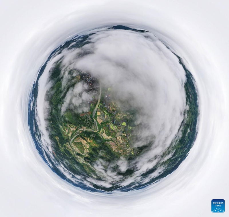 An aerial panoramic drone photo taken on May 19, 2024 shows the terrace in Yangdong Village of Liping County, southwest China's Guizhou Province. Photo: Xinhua