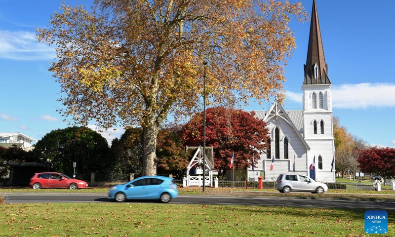 This photo taken on May 19, 2024 shows the scenery in Cambridge, New Zealand. Cambridge is a town situated around 150 km south of Auckland, on the banks of the Waikato River. It is known as The Town of Trees & Champions. Photo: Xinhua