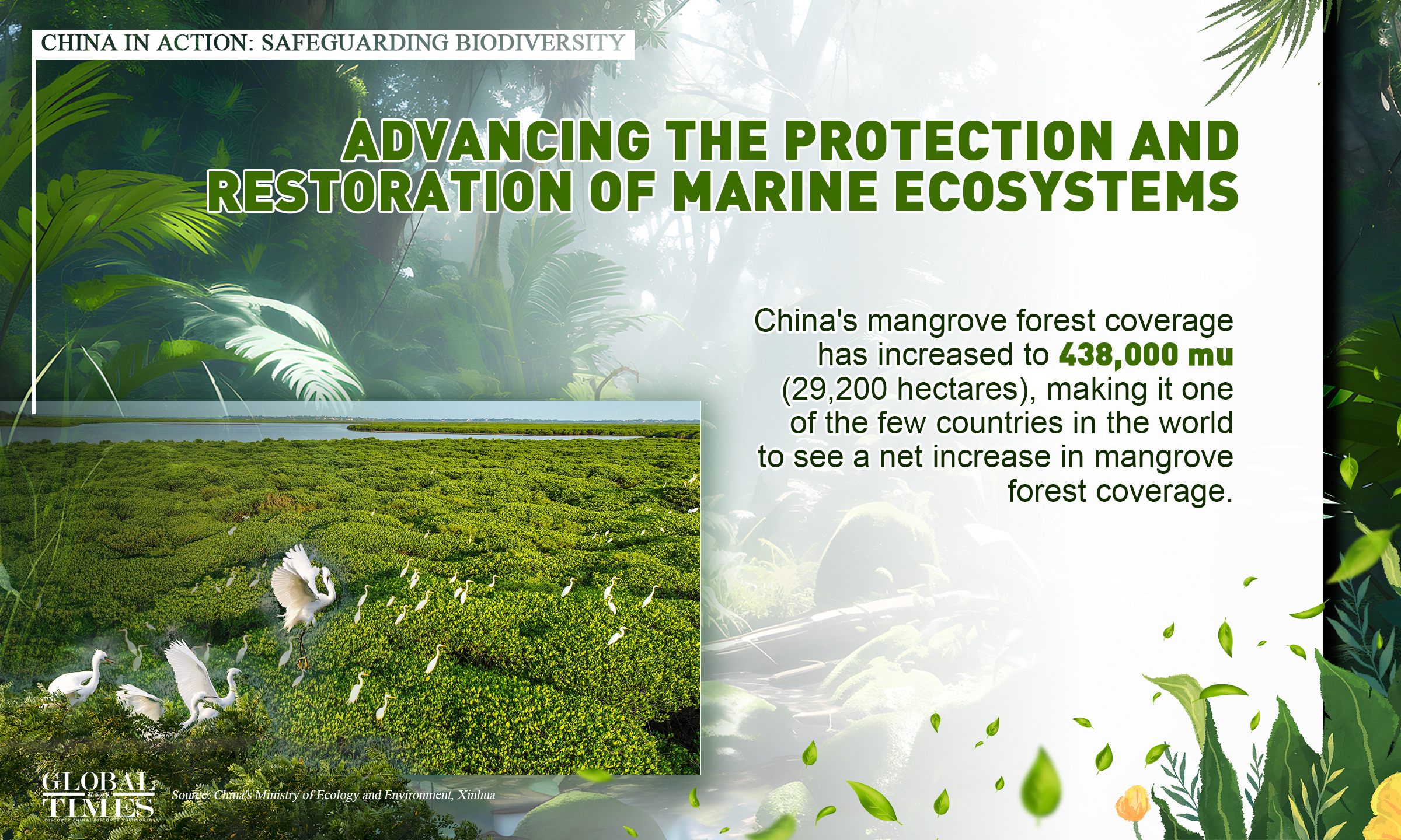 China in action: safeguarding biodiversity. Graphic: GT