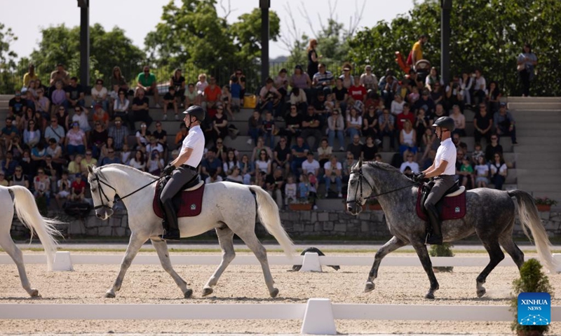 Young Lipizzaners demonstrate the knowledge they have learned during an official performance for visitors in Lipica stud farm, Slovenia on May 19, 2024. On the occasion of its 444th anniversary, the Lipica stud farm organized the Lipizzaner's Day event. Photo: Xinhua
