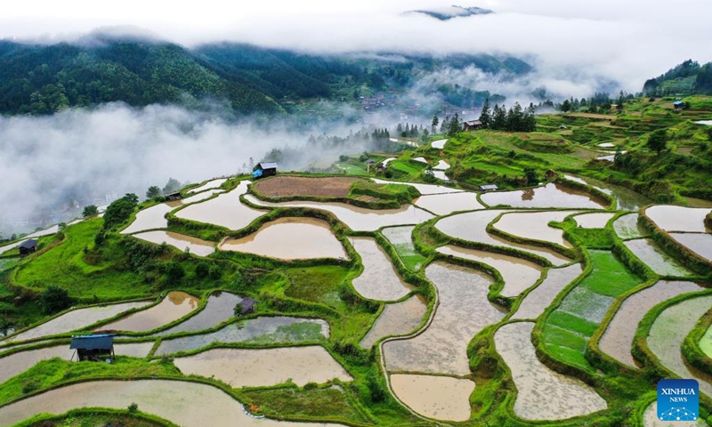 An aerial drone photo taken on May 19, 2024 shows the terrace in Yangdong Village of Liping County, southwest China's Guizhou Province. Photo: Xinhua