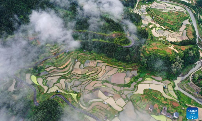 An aerial drone photo taken on May 19, 2024 shows the terrace in Yangdong Village of Liping County, southwest China's Guizhou Province. Photo: Xinhua
