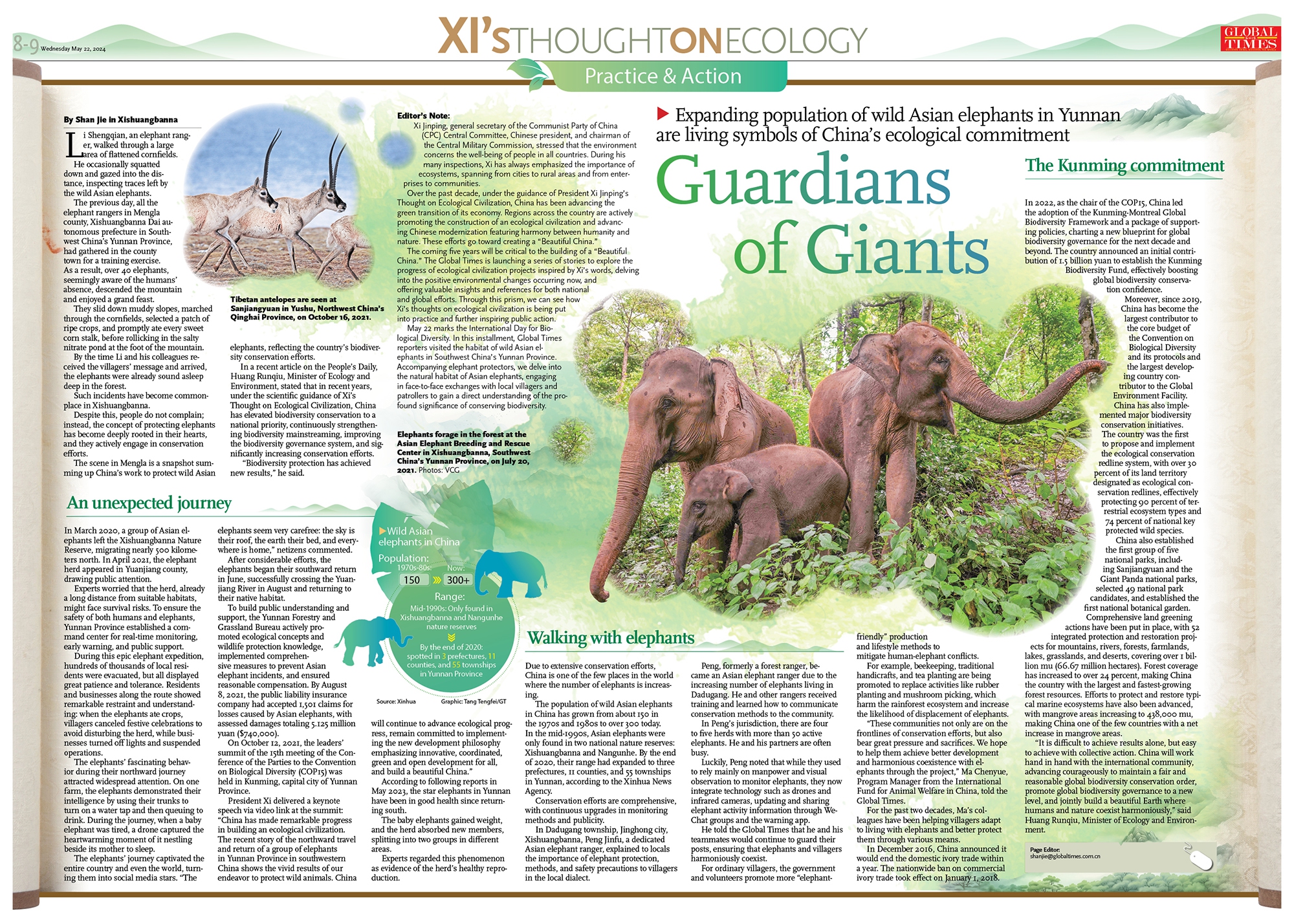 Tibetan antelopes are seen at Sanjiangyuan in Yushu, Northwest China's Qinghai Province, on October 16, 2021. 