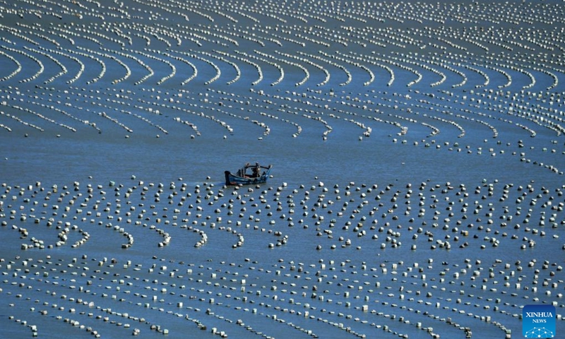 This photo taken on Nov. 10, 2020 shows a mariculture zone near Qida Village of Lianjiang County, southeast China's Fujian Province. Situated by the East China Sea, Fujian Province boasts a sea area of 136,000 square km, a rugged coastline and numerous bays and islands, making it an optimal place for developing mariculture. Over the years, Fujian has concentrated on increasing high-quality marine fishery food supplies, and accelerating the upgrading of mariculture while protecting the marine ecological environment.(Photo: Xinhua)