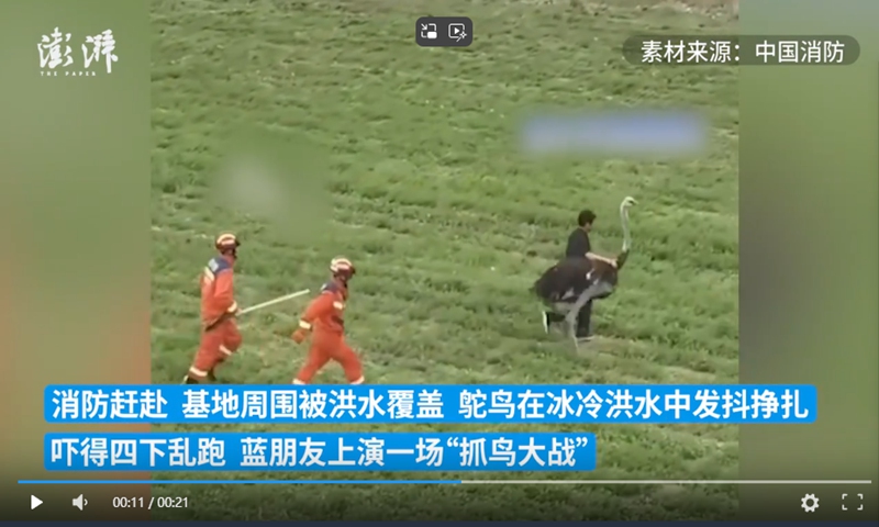 Photo:Screenshot from The Paper