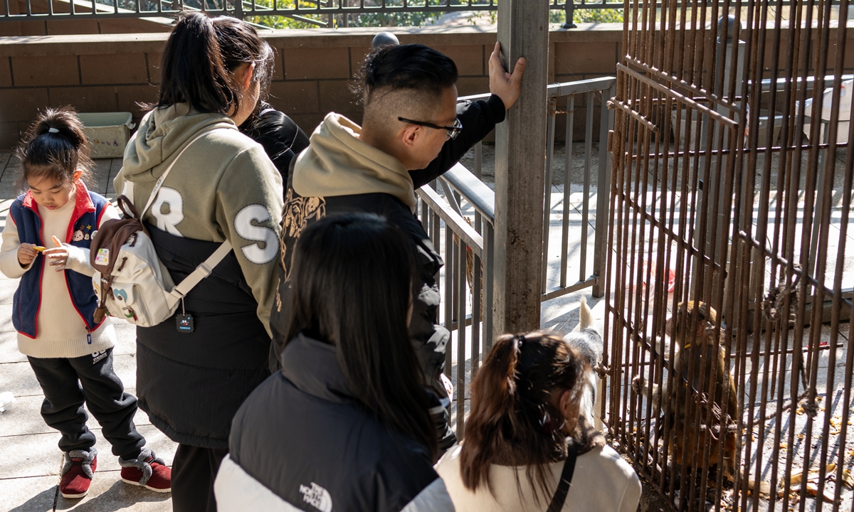 Some children visit a local small private zoo in Enshi, Central China's Hubei Province, under the accompany of their families on Fabruary 11, 2024. Photo: VCG 