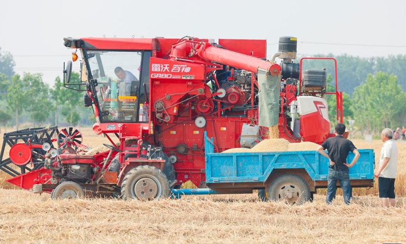 Farmers harvest wheat in the fields in Zhanglou Township in Runan County, Zhumadian City of central China's Henan Province, May 24, 2024. (Photo: Xinhua)