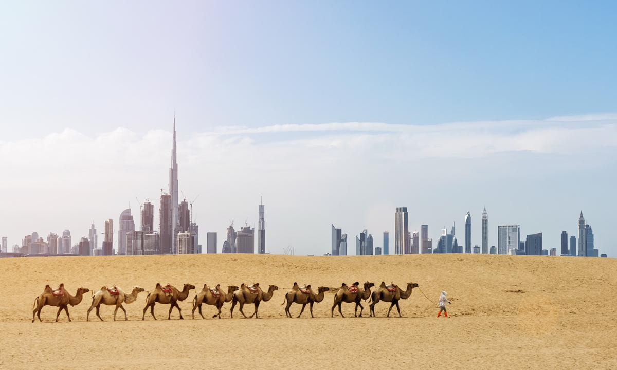 A camel train in the desert frames modern architecture and a brilliant skyline in Dubai, the United Arab Emirates. Photo: VCG