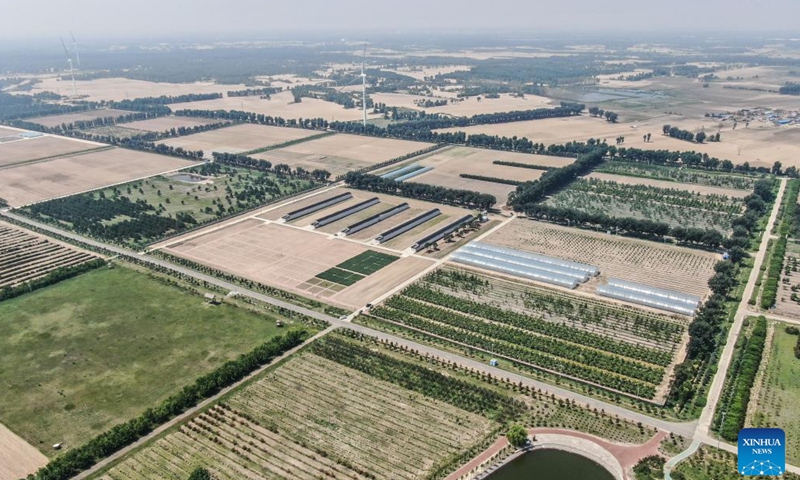 An aerial drone photo taken on May 30, 2024 shows the Zhanggutai base of the sand control and utilization research institute of the Liaoning Academy of Agricultural Sciences in Zhangwu County, northeast China's Liaoning Province.(Xinhua/Pan Yulong)