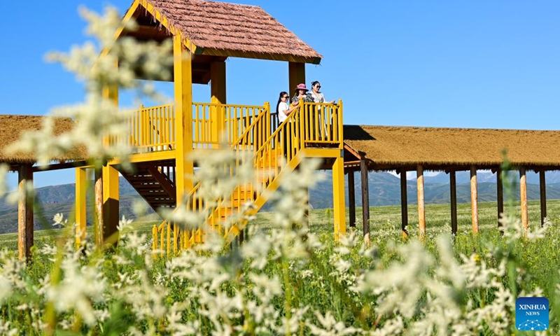 Tourists visit a grassland scenic spot in Emin County, Tacheng Prefecture, northwest China's Xinjiang Uygur Autonomous Region, May 30, 2024. Xinjiang in northwest China has entered its peak tourism season recently. Emin County, located near the China-Kazakhstan border, is a popular tourist destination which provides various rural tour routes and cultural events. (Photo: Xinhua)