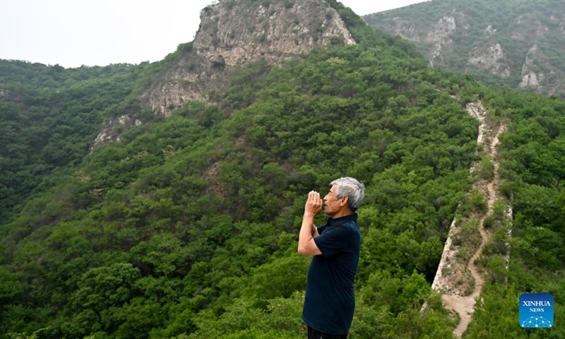 Mei Jingtian, a 80-year-old Great Wall protector, is seen on the Great Wall in Shixia Village in Yanqing District of Beijing, capital of China, May 23, 2024. (Photo: Xinhua)