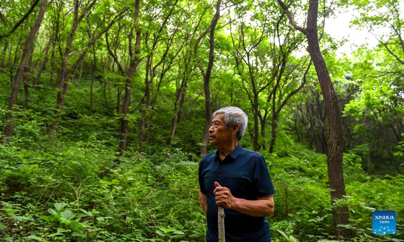 Mei Jingtian, a 80-year-old Great Wall protector, is on his way to patrol the Great Wall in Shixia Village in Yanqing District of Beijing, capital of China, May 23, 2024. (Photo: Xinhua)