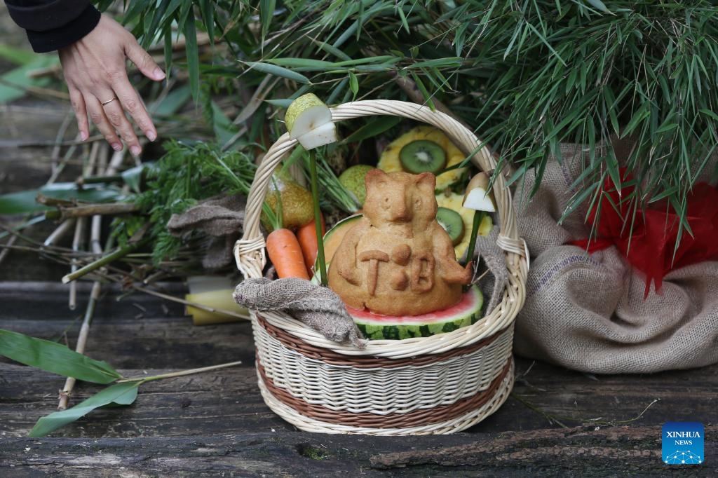 A basket containing part of a birthday meal for giant panda Tian Bao is pictured at the Pairi Daiza Zoo in Brugelette, Belgium, June 2, 2024. The Belgian Pairi Daiza Zoo celebrated the 8th birthday of giant panda Tian Bao on Sunday.(Photo: Xinhua)
