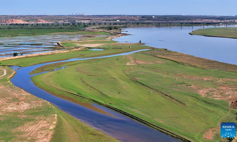 An aerial drone photo taken on May 30, 2024 shows a section of the Yellow River in Yinchuan, northwest China's Ningxia Hui Autonomous Region. The Yellow River, China's second-largest river after the Yangtze, is dubbed the mother river. In recent years, continued efforts have been made to protect its ecology, as vitality has returned to the Yellow River basin in Ningxia. (Photo: Xinhua)