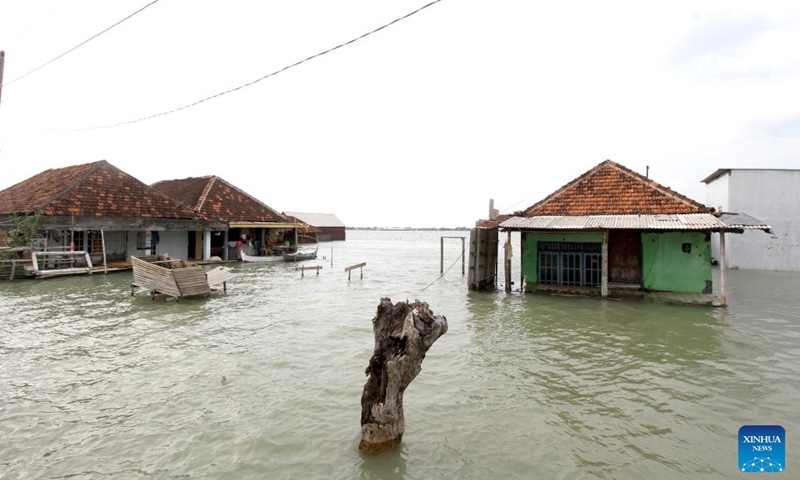 This photo taken on June 3, 2024 shows a view of a residential area surrounded by water in Timbulsloko village in Demak, Central Java, Indonesia. Rising sea levels and subsidence of the land surface have resulted in some villages being surrounded by sea water.(Photo: Xinhua)