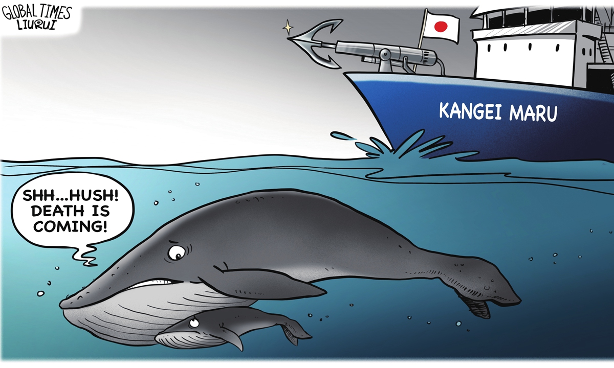 Illustration: Liu Rui/GT