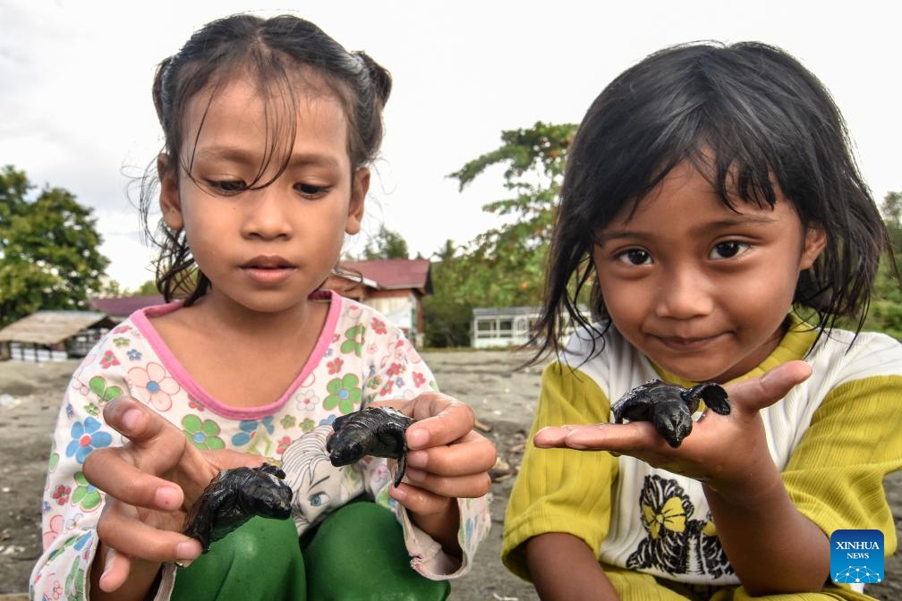 Children hold baby hawksbill sea turtles before releasing them to the sea on the occasion of World Environment Day in Donggala regency, Central Sulawesi, Indonesia, June 5, 2024.(Photo: Xinhua)