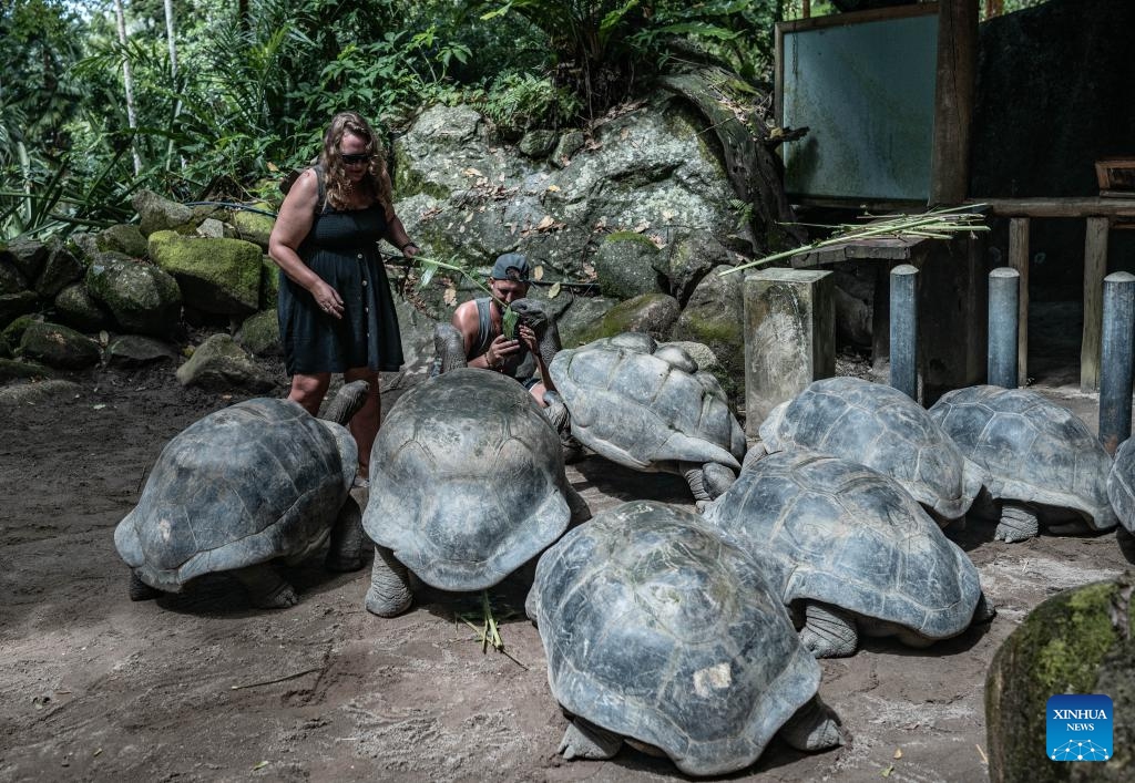 Tourists visit the botanical garden in Victoria, the capital of Seychelles, June 5, 2024.(Photo: Xinhua)