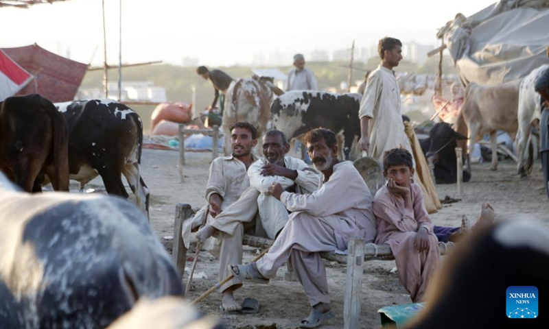 Vendors wait for customers at a livestock market ahead of Eid al-Adha festival in Islamabad, capital of Pakistan on June 11, 2024.  (Photo: Xinhua)