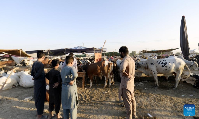 People visit a livestock market ahead of Eid al-Adha festival in Islamabad, capital of Pakistan on June 11, 2024. (Photo: Xinhua)