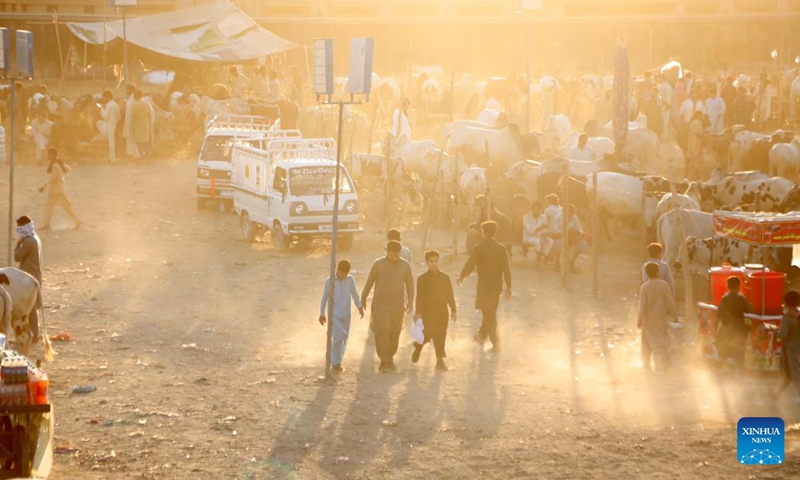 People visit a livestock market ahead of Eid al-Adha festival in Islamabad, capital of Pakistan on June 11, 2024. (Photo: Xinhua)
